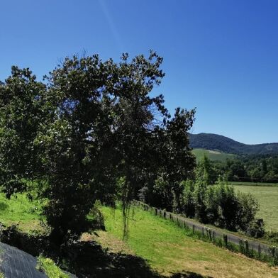Terrain  49000 €
