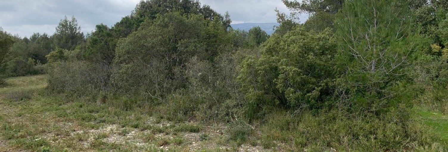Terrain  5162 m² à vendre à Cuges-les-Pins (13780)