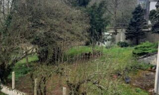 Photo N° 5