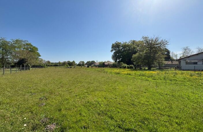 NARROSSE – MAISON 4 CHAMBRES – TERRAIN DE PLUS DE 3 000 M² – DÉPENDANCE – FORT POTENTIEL — photo 3