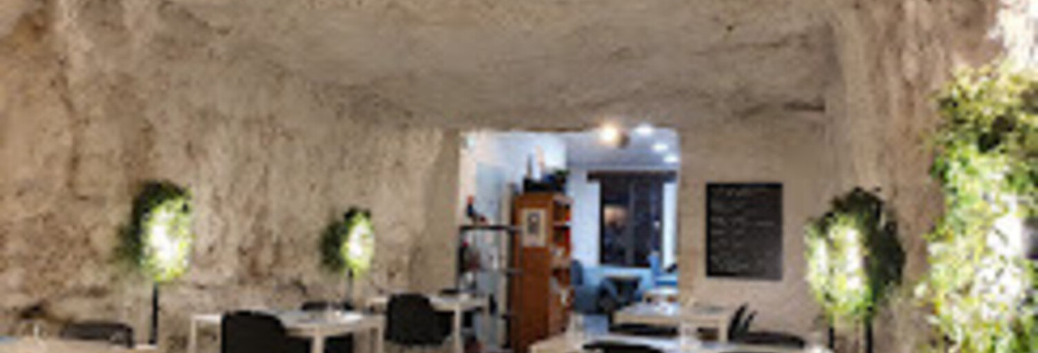 Commerce  100 m² à vendre à Chaumont-sur-Loire (41150)