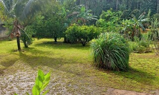 Photo N° 4