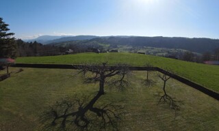 Photo N° 5