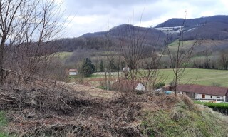 Photo N° 6