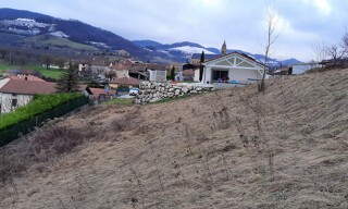 Photo N° 8