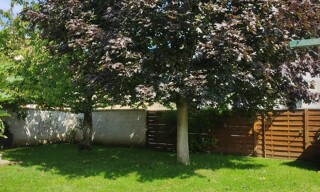 Photo N° 3
