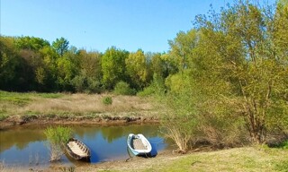 Photo N° 5