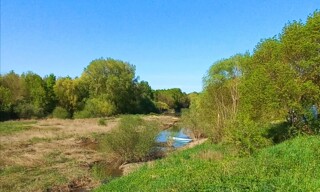 Photo N° 6
