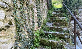 Photo N° 4