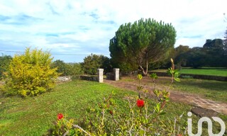 Photo N° 4