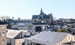Photo N° 4