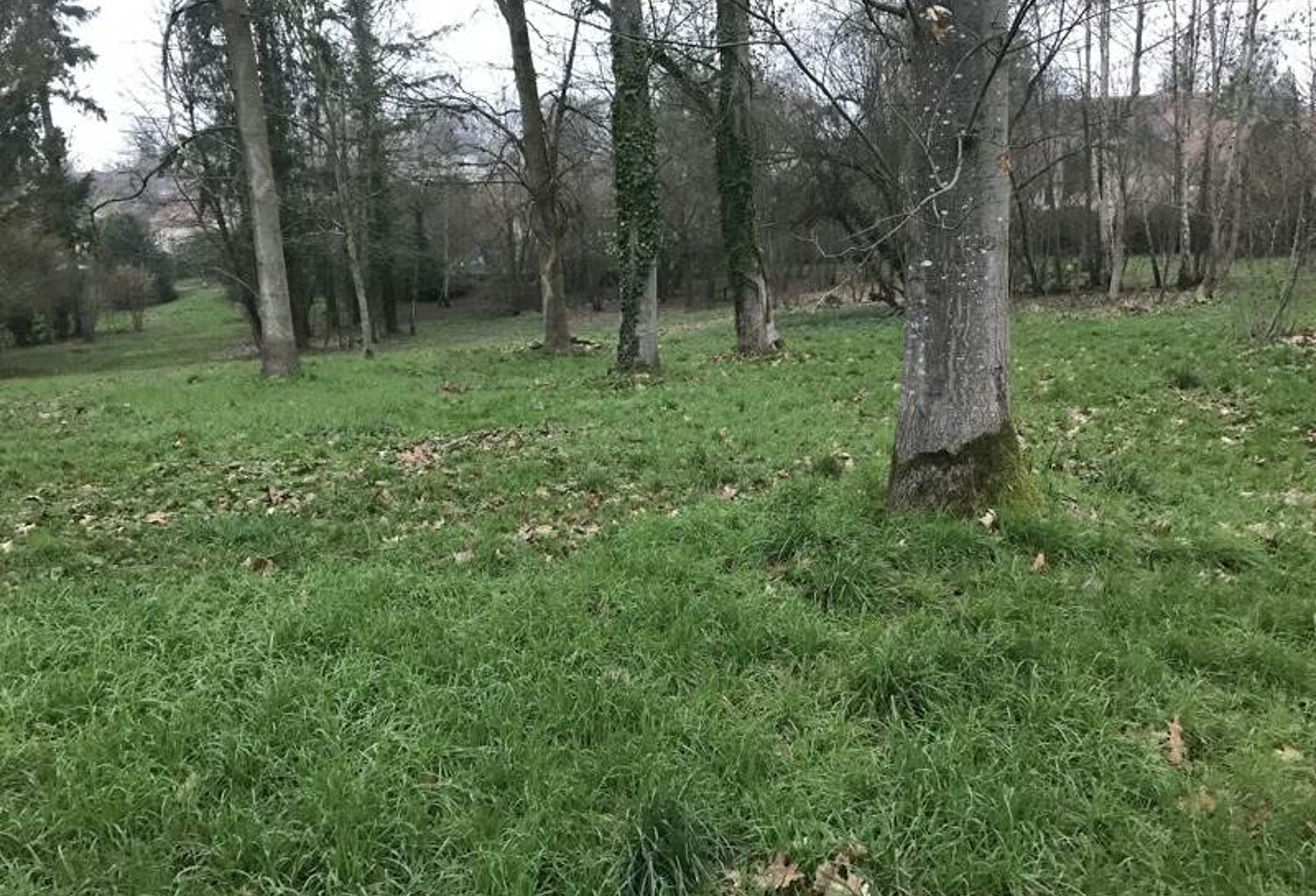 Terrain à bâtir de 0 pièces principales — photo 1
