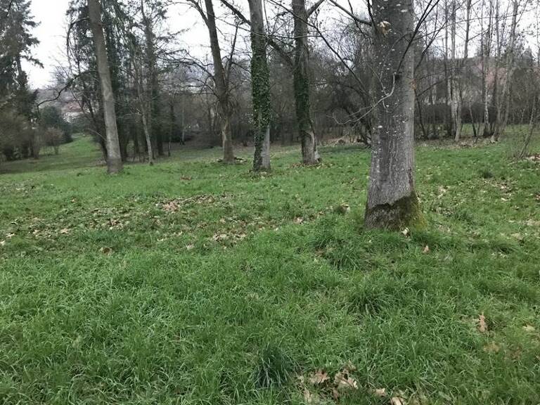 Terrain à bâtir de 0 pièces principales — photo 1