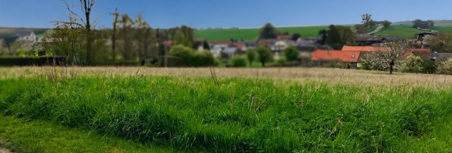 Terrain  2250 m² à vendre à Rocquencourt (60120)