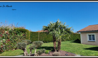 Photo N° 4