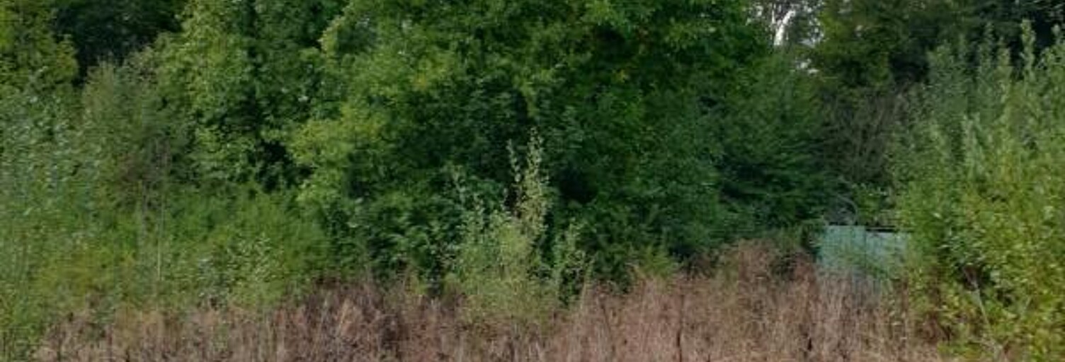 Terrain  2365 m² à vendre à La Comté (62150)