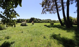Photo N° 5