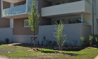 Photo N° 3