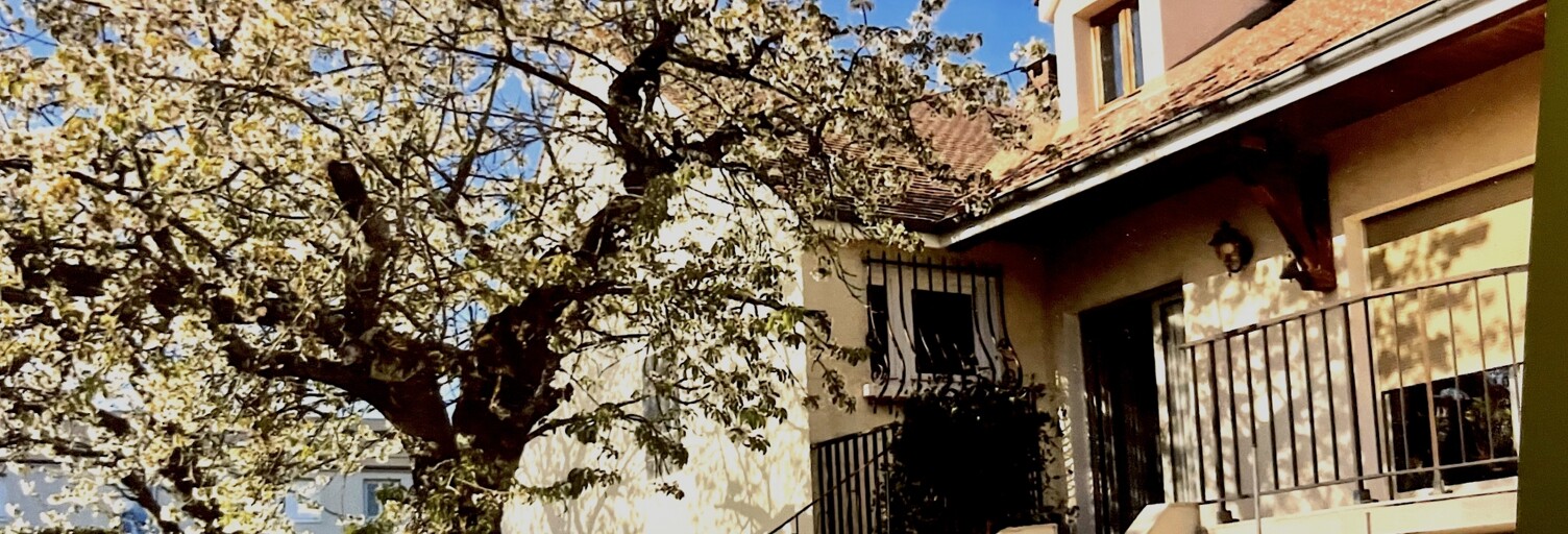 Maison 8 Pièces 160 m² à vendre à Courtenay (45320)