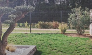 Photo N° 3