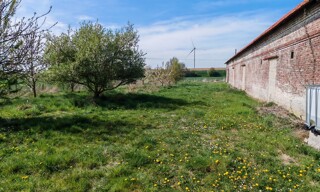 Photo N° 4