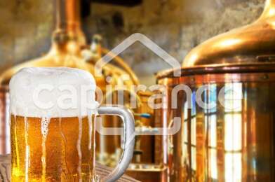 Commerce 3 pièces 728000 €