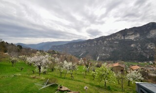 Photo N° 3