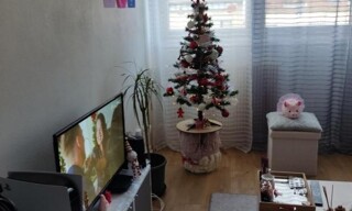 Photo N° 2
