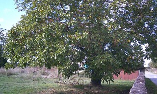 Photo N° 3