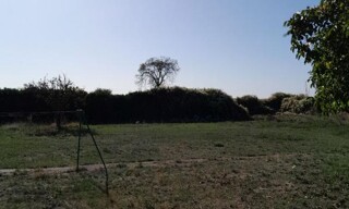 Photo N° 5