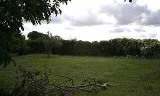 Photo N° 7