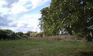 Photo N° 9