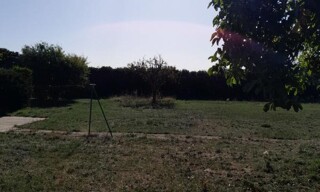 Photo N° 15