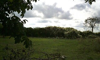 Photo N° 5