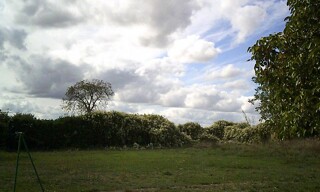 Photo N° 6