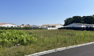 Photo N° 3