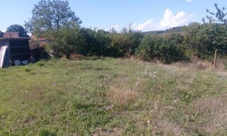 Photo N° 4