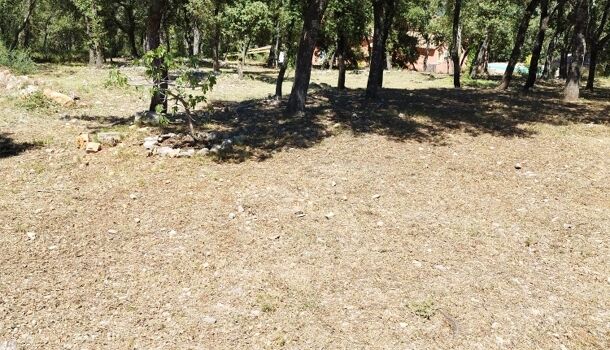 Villa / Maison 5 pièces  à vendre Thoronet (Le) 83340