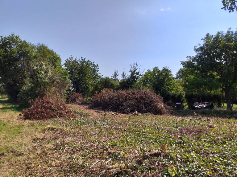 TERRAIN DE LOISIRS — photo 1
