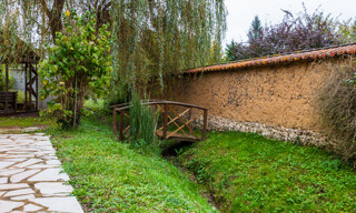 Photo N° 6