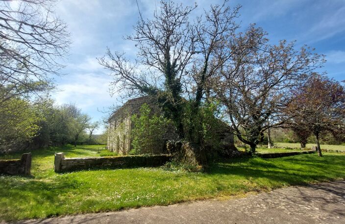 Maison — photo 2