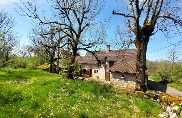 Maison — photo 3