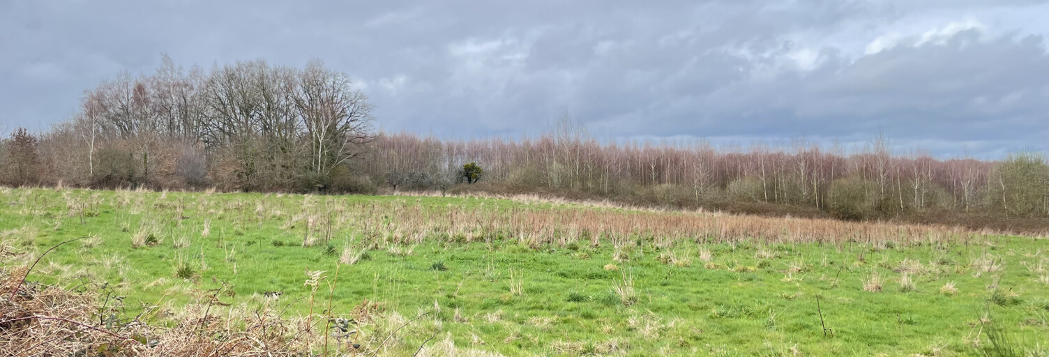 Terrain  9009 m² à vendre à Lesterps (16420)