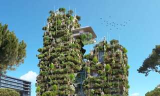 Appartement 4 Pièces 109 m² à vendre à Montpellier (34000)