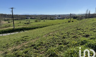 Photo N° 4
