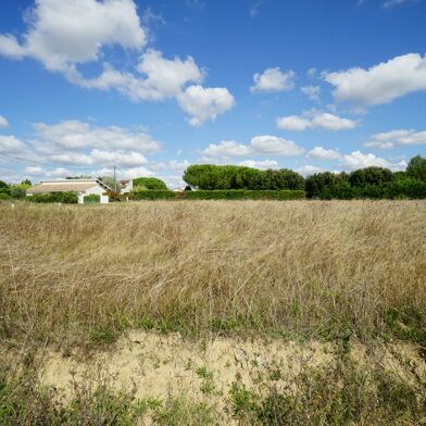 Terrain  106000 €