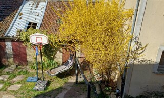 Photo N° 8