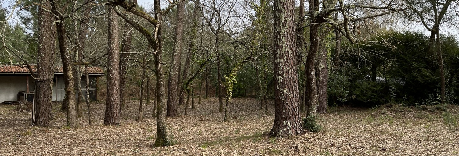 Terrain  1287 m² à vendre à Andernos-les-Bains (33510)