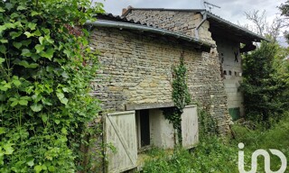 Photo N° 3