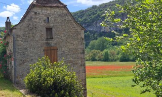 Photo N° 5